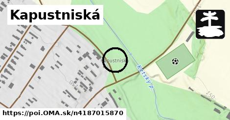 Kapustniská