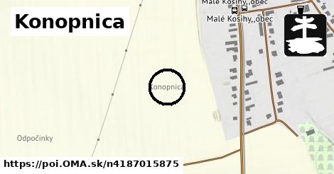 Konopnica