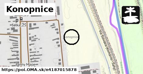 Konopnice