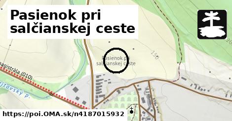 Pasienok pri salčianskej ceste