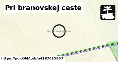 Pri branovskej ceste