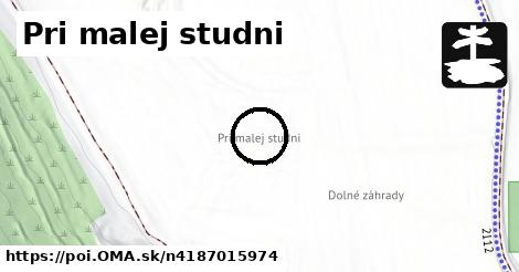 Pri malej studni