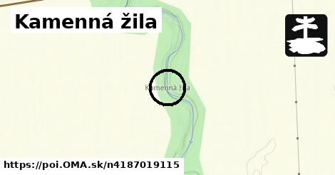 Kamenná žila