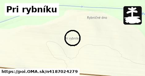 Pri rybníku