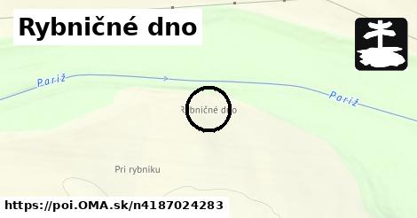 Rybničné dno