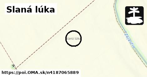 Slaná lúka