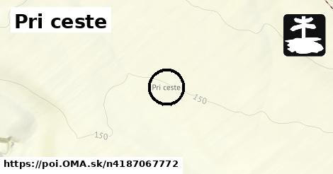 Pri ceste