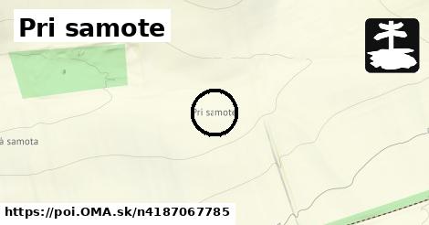 Pri samote