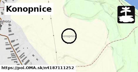 Konopnice