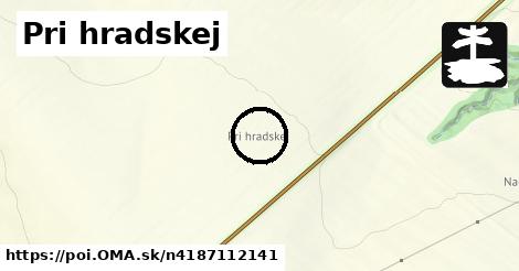 Pri hradskej