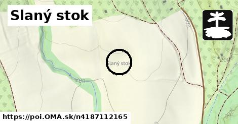 Slaný stok