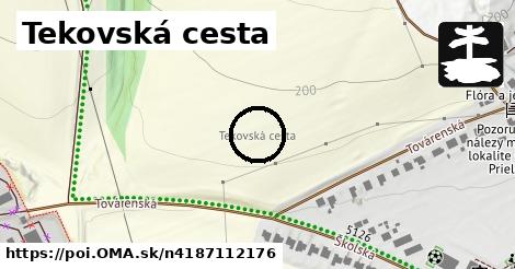 Tekovská cesta