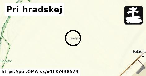 Pri hradskej