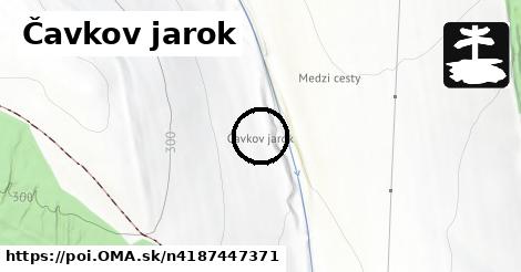 Čavkov jarok