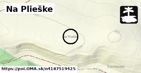 Na Plieške