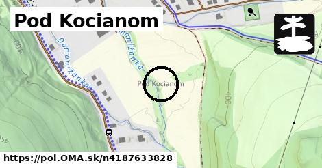 Pod Kocianom