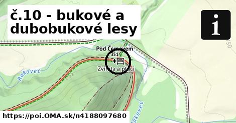 č.10 - bukové a dubobukové lesy