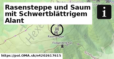 Rasensteppe und Saum mit Schwertblättrigem Alant