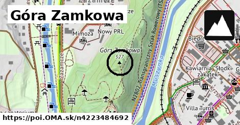 Góra Zamkowa