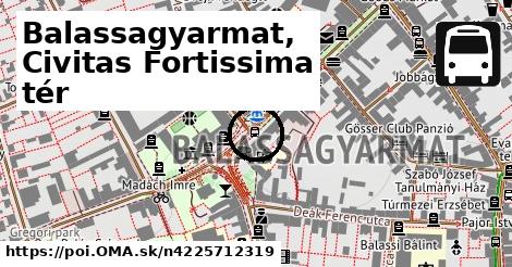 Balassagyarmat, Civitas Fortissima tér