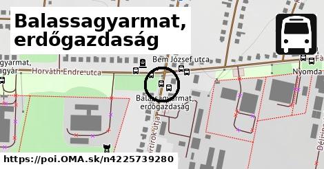 Balassagyarmat, erdőgazdaság