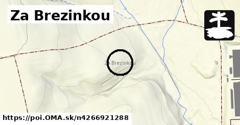 Za Brezinkou