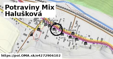 Potraviny Mix Halušková