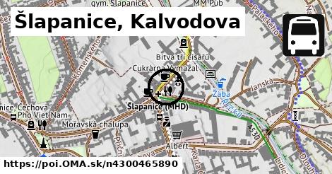 Šlapanice, Kalvodova