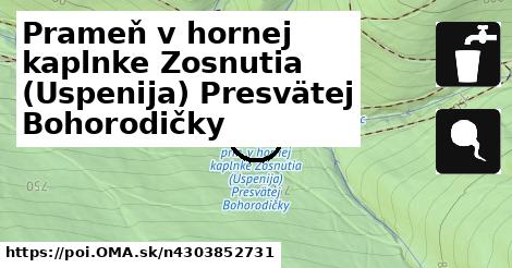 Prameň v hornej kaplnke Zosnutia (Uspenija) Presvätej Bohorodičky