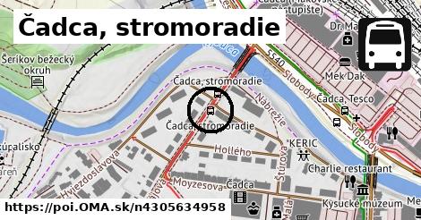 Čadca, stromoradie