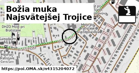 Božia muka Najsvätejšej Trojice