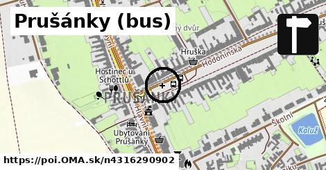 Prušánky (bus)