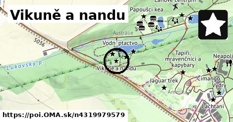 Vikuně a nandu