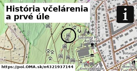 História včelárenia a prvé úle