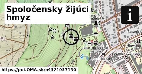 Spoločensky žijúci hmyz