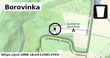 Borovinka