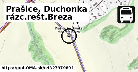 Prašice, Duchonka rázc.rešt.Breza