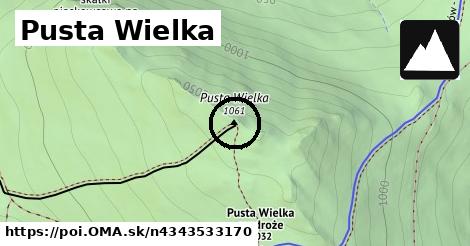 Pusta Wielka