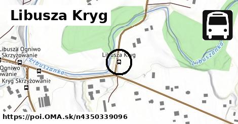 Libusza Kryg