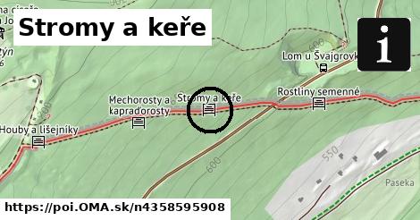 Stromy a keře