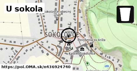 U sokola