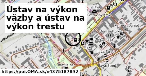 Ústav na výkon väzby a ústav na výkon trestu