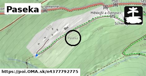 Paseka