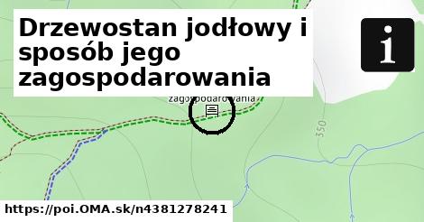 Drzewostan jodłowy i sposób jego zagospodarowania