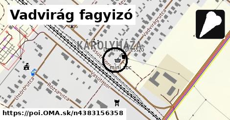 Vadvirág fagyizó