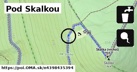 Pod Skalkou