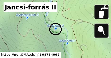 Jancsi-forrás II