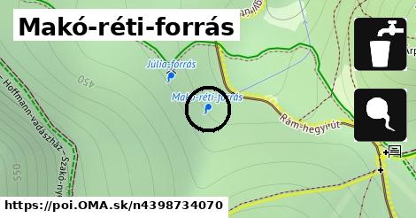 Makó-réti-forrás