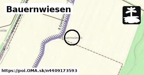 Bauernwiesen