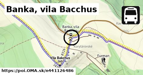 Banka, vila Bacchus